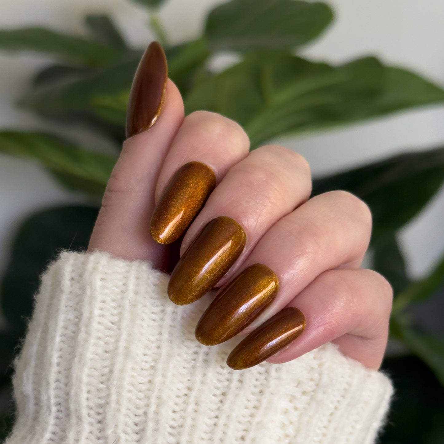 Amber Velvet