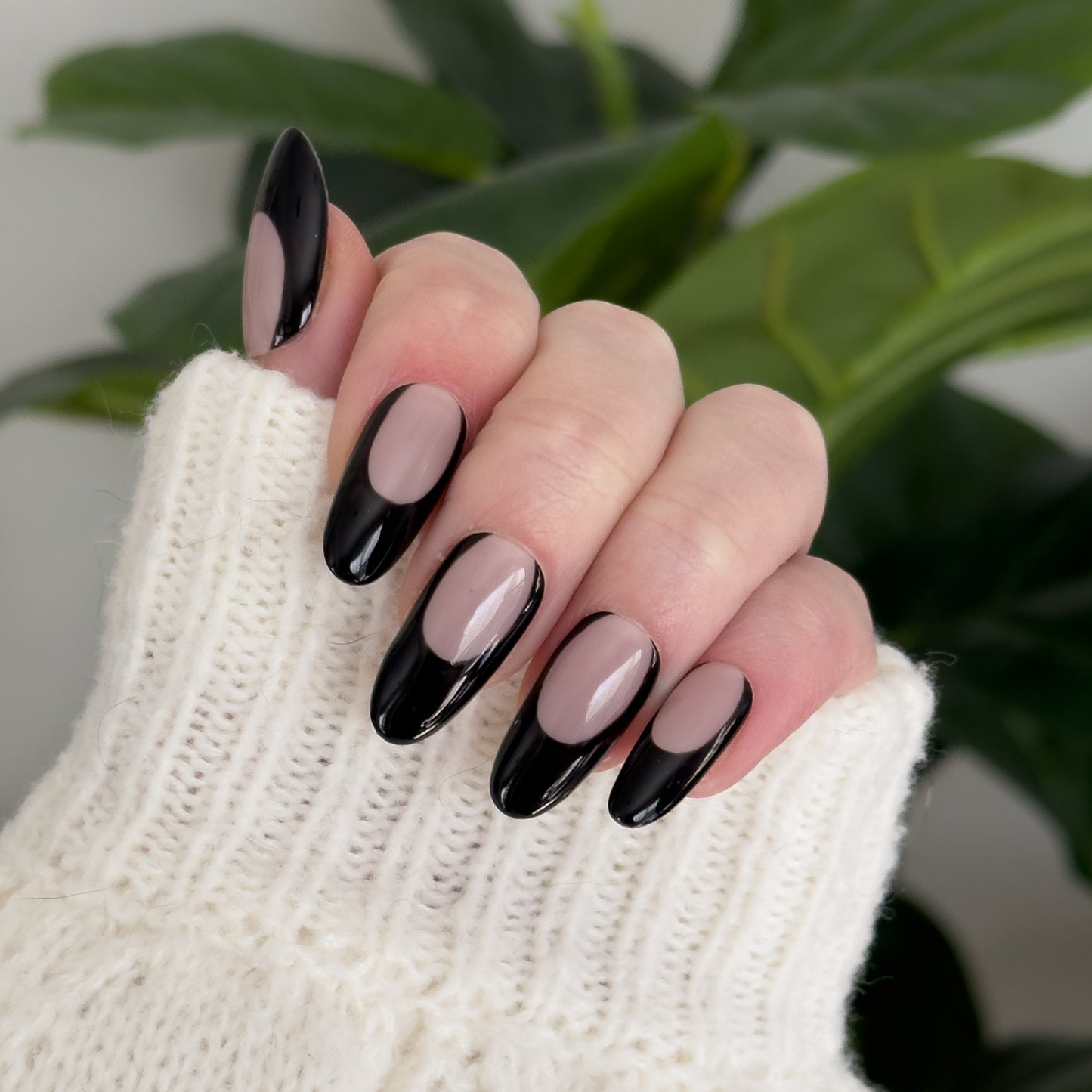Black Moody French