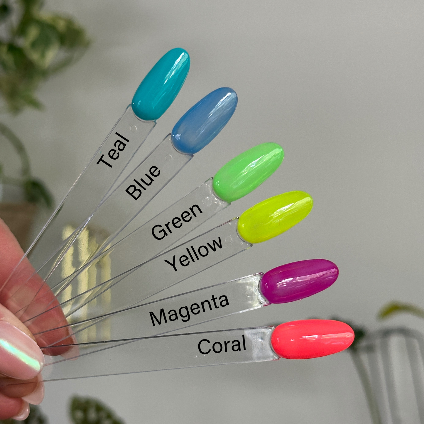 Neon Jelly Collection